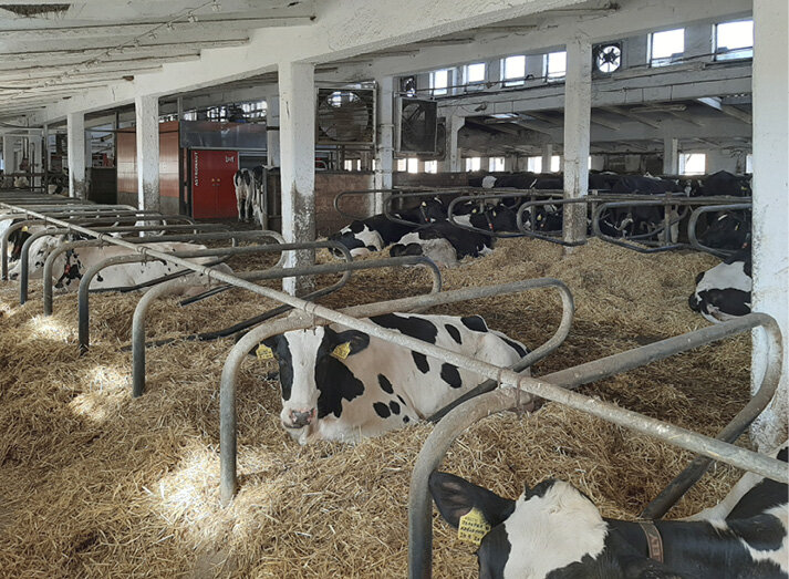 Detail vnitřního uspořádání produkční stáje