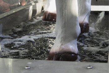 Průchozí brodidlo s tryskovou cirkulací léčebněpreventivního roztoku