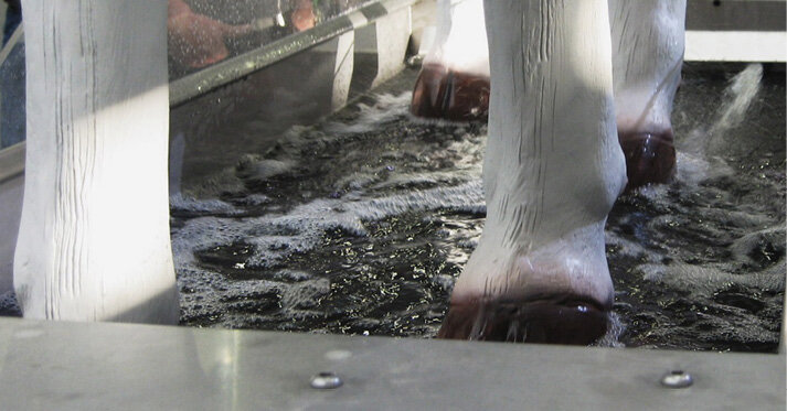 Průchozí brodidlo s tryskovou cirkulací léčebněpreventivního roztoku