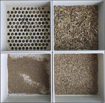 Obrázok č. 1 - Preosiata TMR pre produkčné kravy