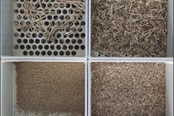 Obrázok č. 2 – Preosiata TMR, príprava na pôrod