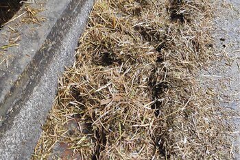 Obrázok č. 3 – Separovanie TMR s ponechaním dlhých častíc slamy