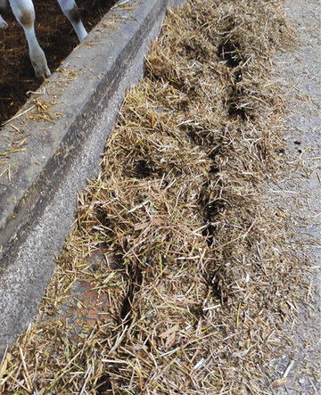 Obrázok č. 3 – Separovanie TMR s ponechaním dlhých častíc slamy